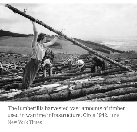 What is a female lumberjack called?